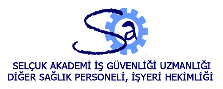 Custom logo here